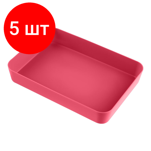 Комплект 5 шт, Лоток для канцелярских принадлежностей СТАММ, 18.5*26.5*4.5см, полипропилен, розовый Neon