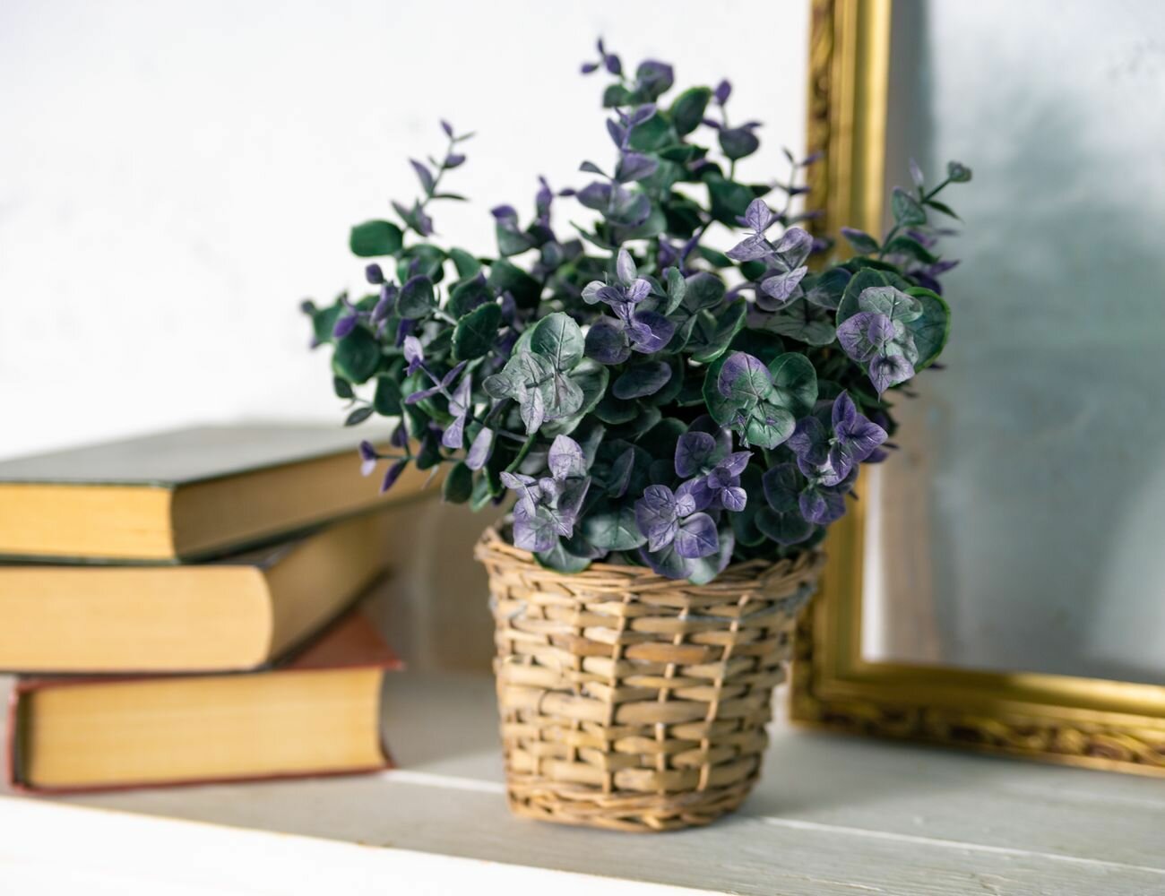 фото Искусственное растение в горшке эвкалиптовая коллекция - цинерия, 26 см, Koopman International 317002290-3