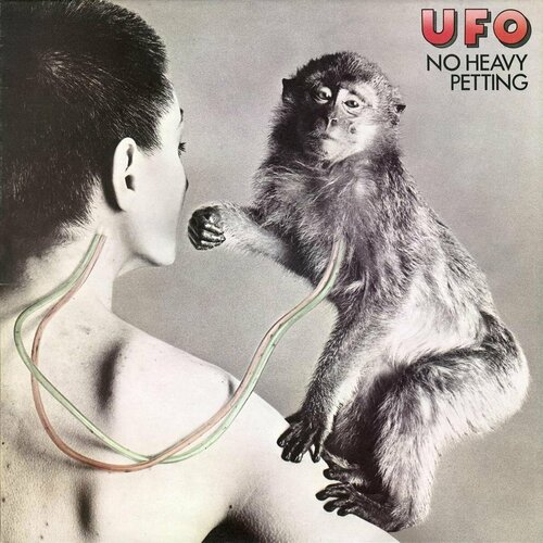 Виниловая пластинка UFO - No Heavy Petting (2023 Remaster) (180g) (Deluxe Edition) (Clear Vinyl) (3 LP) monastyrski a kashira highway