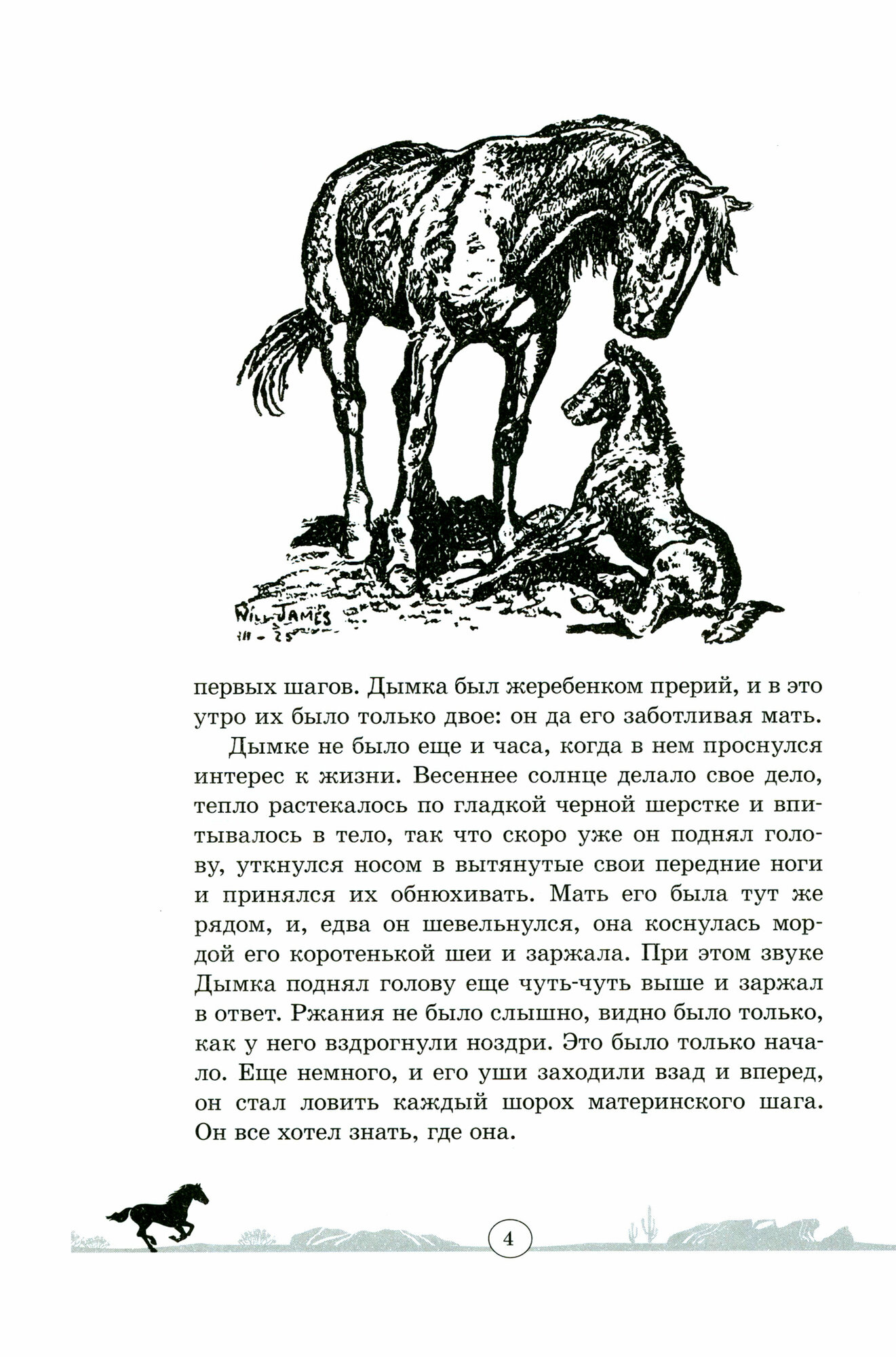 Книга Дымка. Конь ковбоя (Джемс Виль) - фото №8