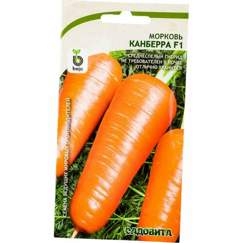Садовита Семена Морковь Канберра F1 200 семечек 00192751 семена садовита морковь маэстро f1 200 семечек 00193041