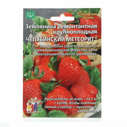 Семена Земляника Челябинский метеорит, 10 шт семена дайкон челябинский метеорит 3 упаковки 2 подарка