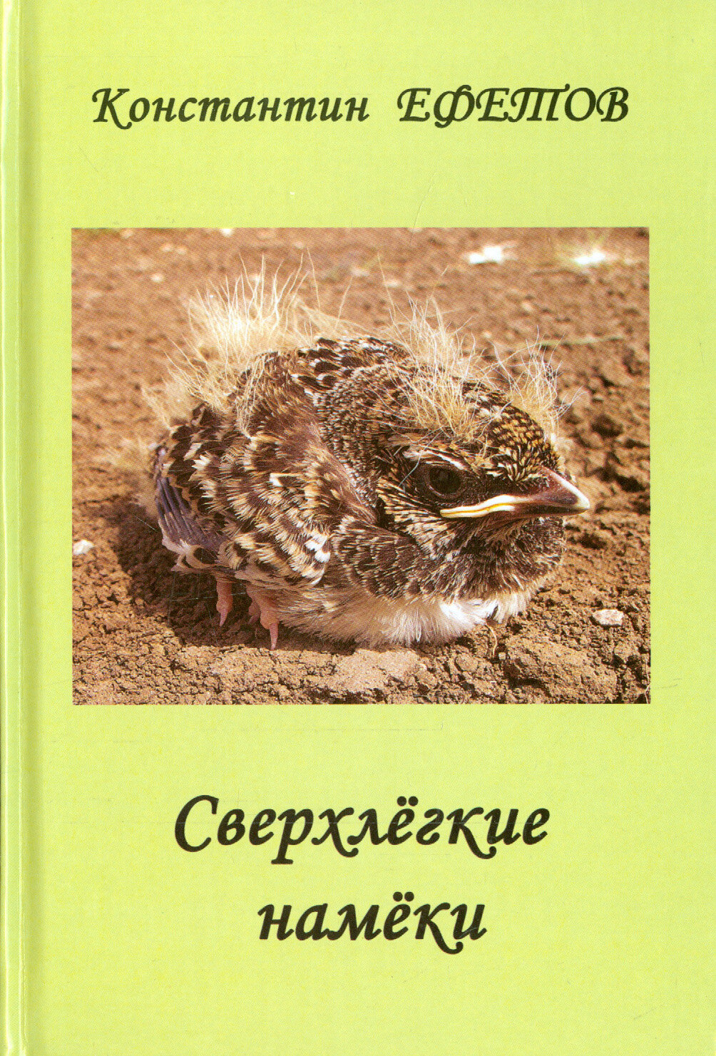 Сверхлегкие намеки (Ефетов Константин Александрович) - фото №1