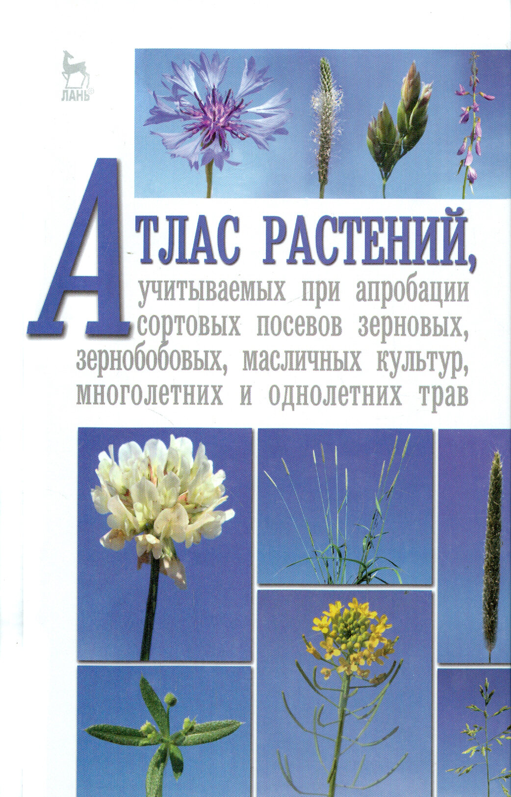 Атлас растений, учитываемых при апробации сортовых посевов. Учебное пособие - фото №5