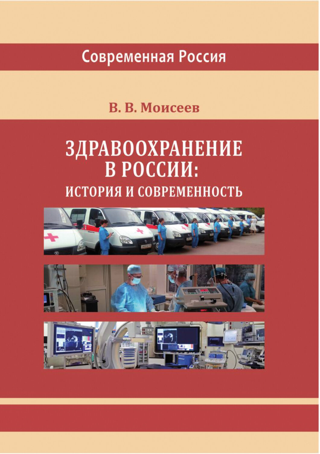 Здравоохранение в России (Моисеев Владимир Викторович) - фото №8