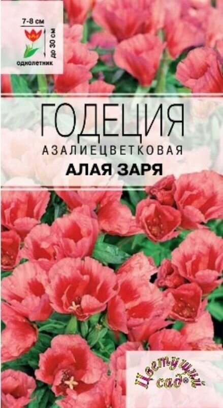 Семена Годеция Алая заря (однолетние) (Цветущий Сад) 01г