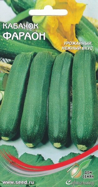 Кабачок 