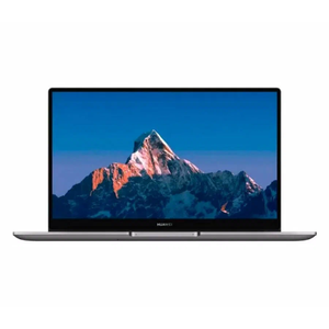 Ноутбук Huawei Matebook B3-520 53013JHX серый {i5 1155G7/8ГБ/512ГБ SSD/Iris Xe/15.6" FHD IPS/DOS}