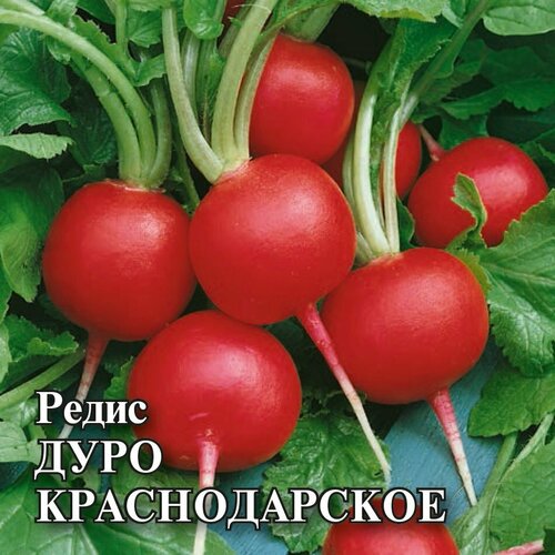 Семена Редис Дуро Краснодарское, 25г, Гавриш, Фермерское подворье, 5 пакетиков