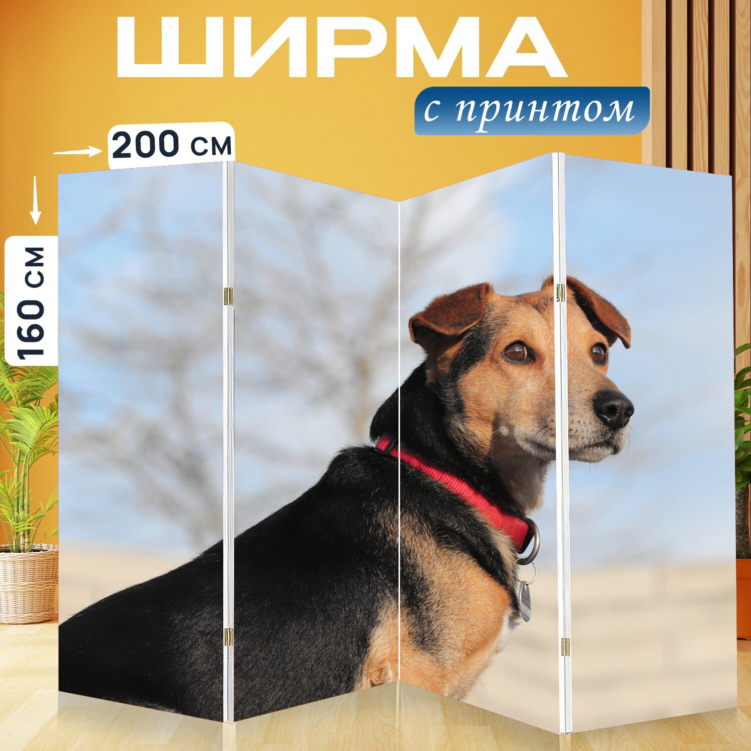 Ширма перегородка с принтом "Собака, гибридный, домашнее животное" на холсте - 200x160 см. для зонирования, раскладная