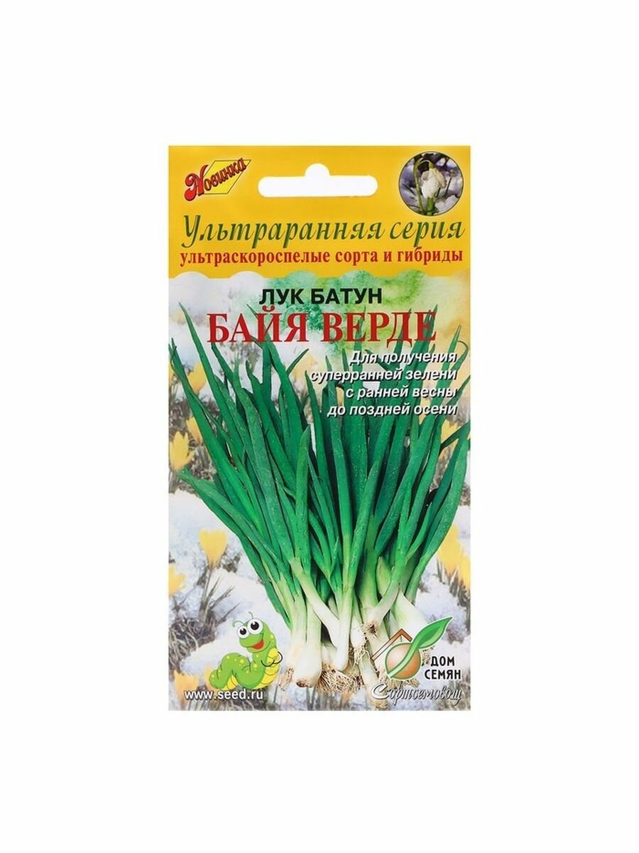 5 упаковок Семена Лук батун Байя Верде 50 шт