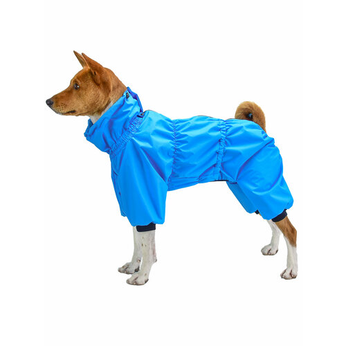 Дождевик ДжекиДог мембранный на тонкой подкладке для собаки-мальчика р.16, цв. ярко-голубой