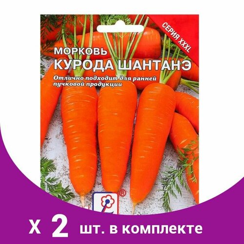 Семена ХХХL Морковь 'Курода Шантанэ', 10 г (2 шт) семена морковь курода шантанэ лидер