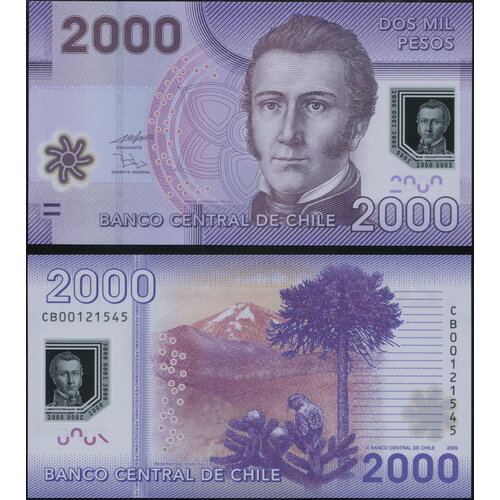 Банкнота. Чили 2000 песо. 2009 (2010) Пластик UNC. Кат. P.162a