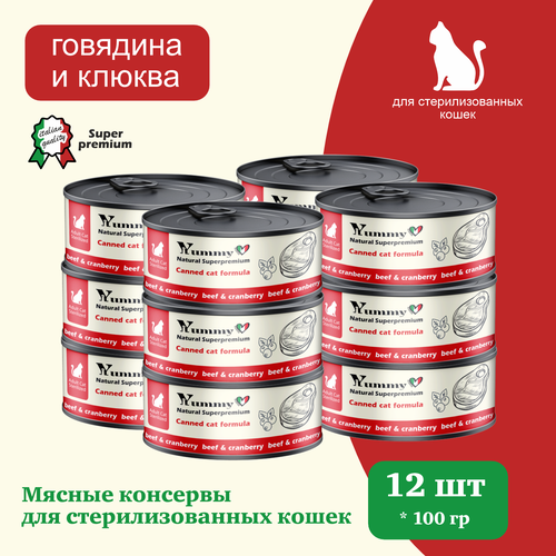 Влажный корм корм для кошек Говядина, 12*100 гр