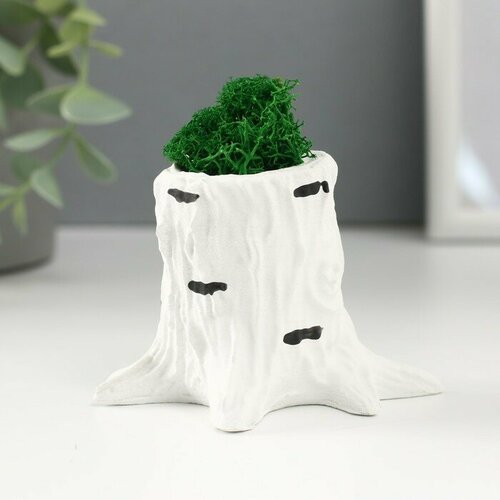 Кашпо бетонное Пенек березка 75х85х7 см со мхом мох зеленый стабилизированный 516₽