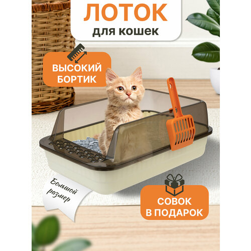 Лоток для кошек с высокими бортами