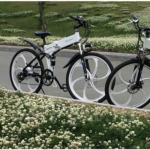 Электровелосипед Roadster 115000₽