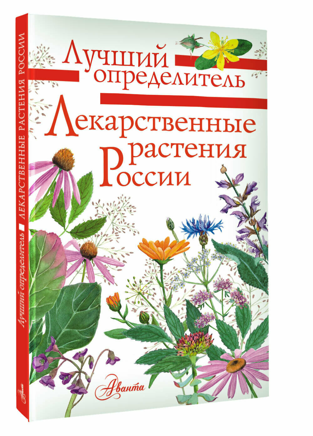 Лекарственные растения России