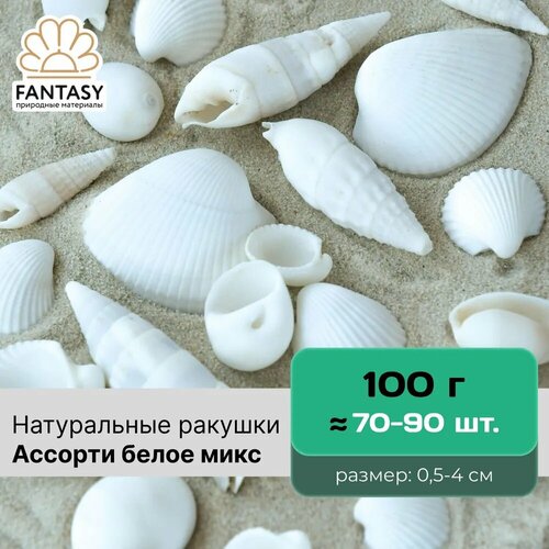 Набор натуральных морских ракушек FANTASY Ассорти белое микс отборные набор весом 100 г 70-90 шт 310₽