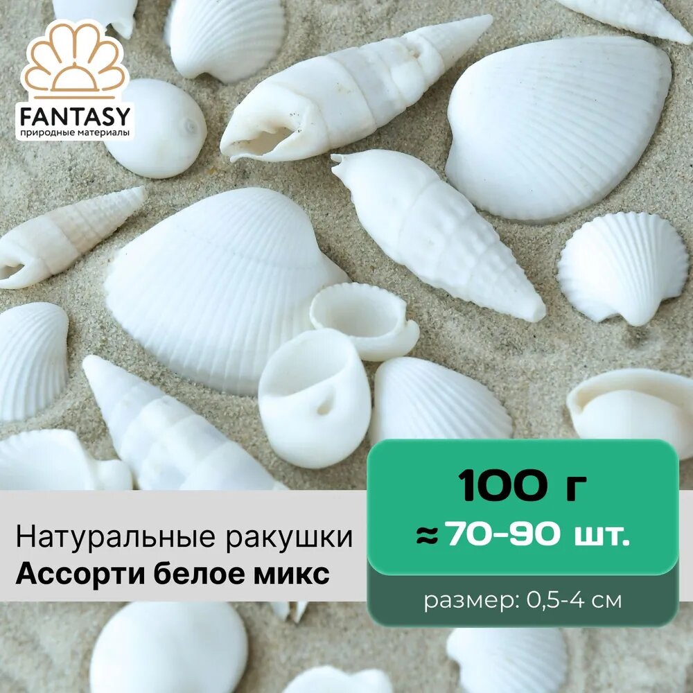 фото Натуральные морские ракушки FANTASY Халиотис пулчерина, размер - 2-5 см, набор весом 100 г (30-40 шт.)