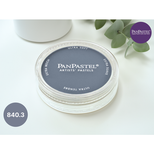Ультрамягкая пастель для художников PanPastel 840.3