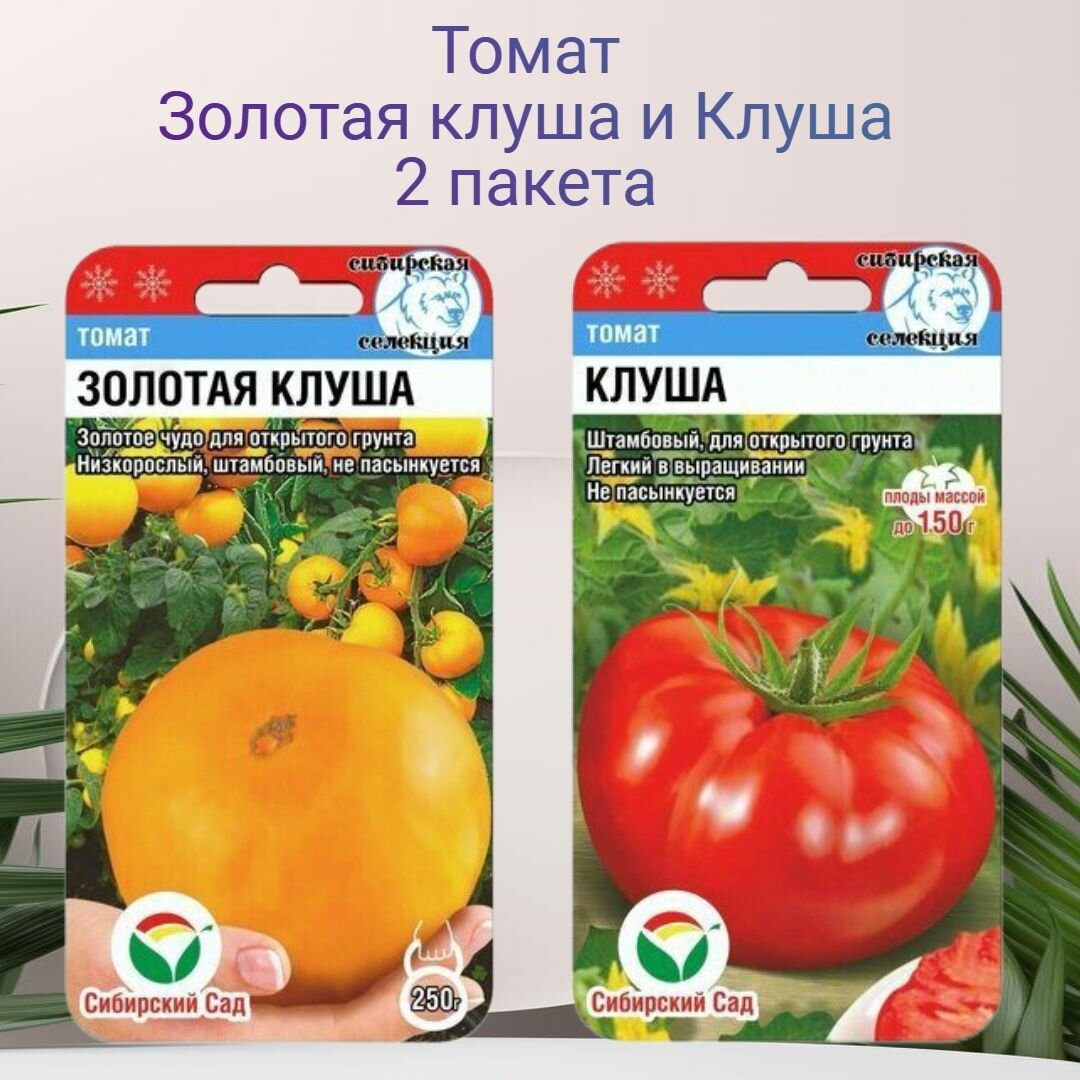 Томат Золотая клуша и Клуша 2 пакета