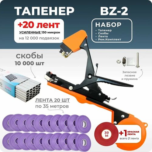 черный, фиолетовый, оранжевый