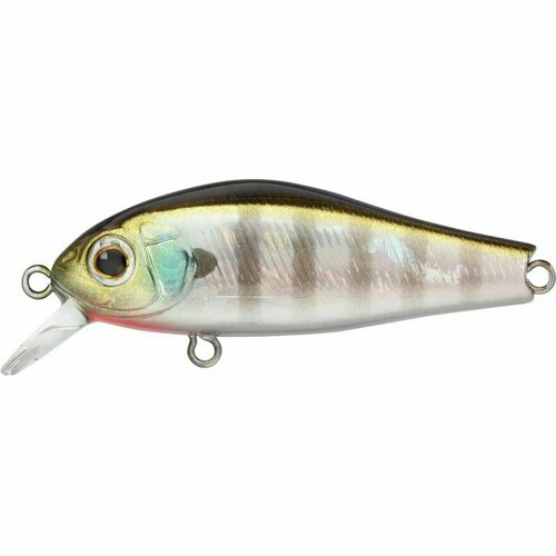 Воблер Zipbaits Rigge 43F, 3,4г плавающий, цвет #509