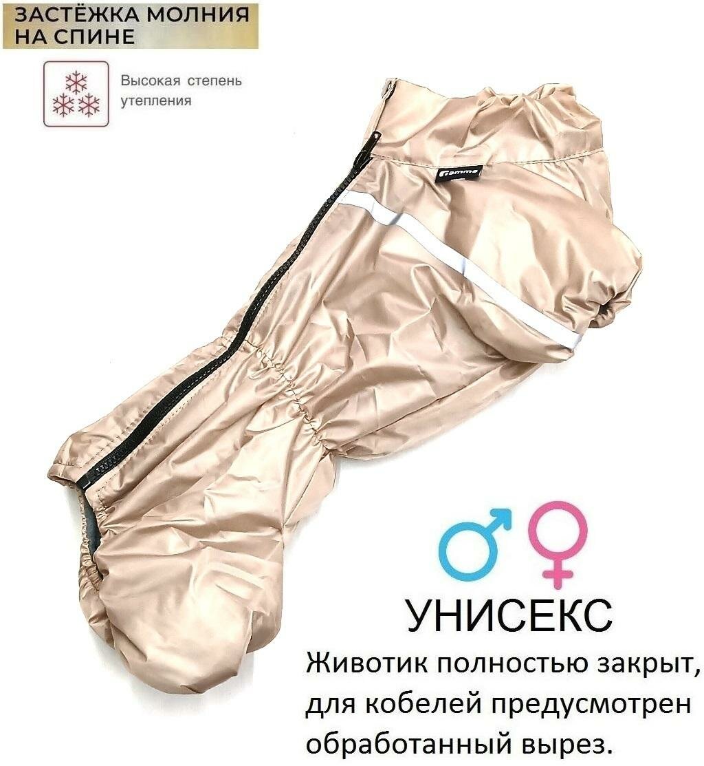 "Пекинес" комбинезон зимний 32см (32см )