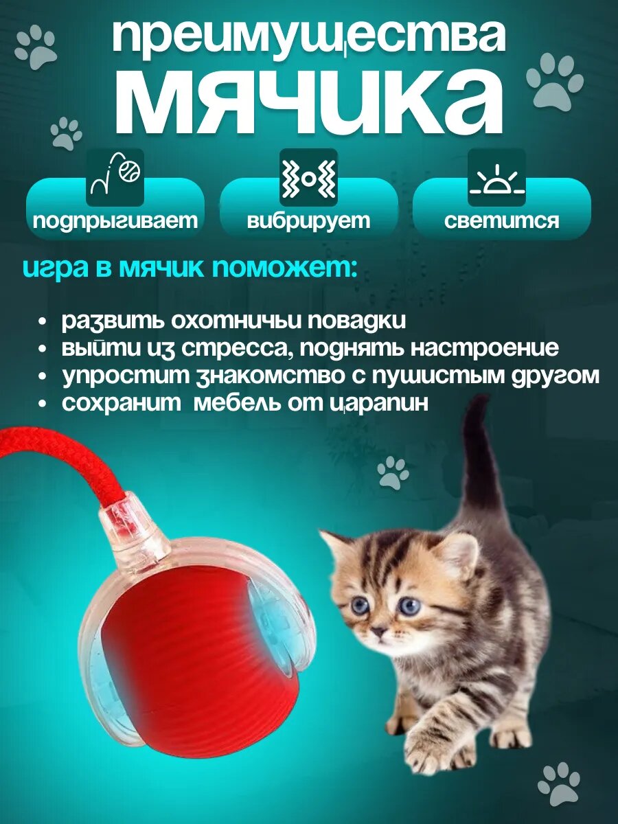 Умная игрушка "Интерактивный мяч" , для кошек и собак, для развития и антистресс, светящаяся, антивандальная — фото 1