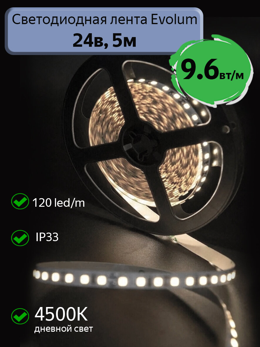 Светодиодная лента Evolum  24В  9 6Вт м  4500К дневной свет  120 led m  IP33  5м