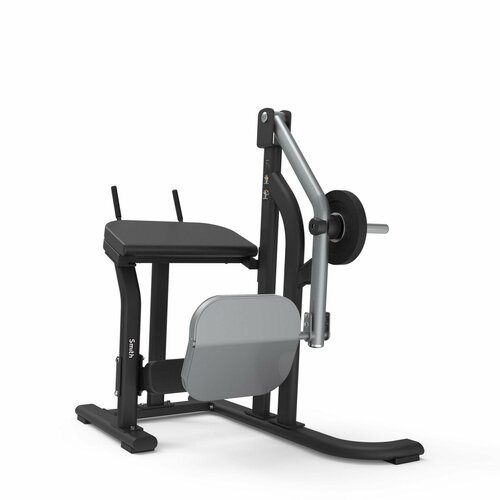 Ягодичные мышцы Smith Fitness SH007 грузоблочный тренажер bronze gym s7 016a ягодичные мышцы