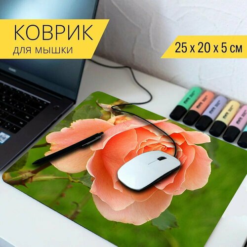 Коврик для мыши с принтом Роуз, цветок, сад 25x20см. коврик для мыши с принтом rose роуз цветок 25x20см