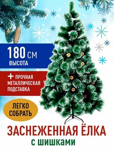 Основная фотография от вендора