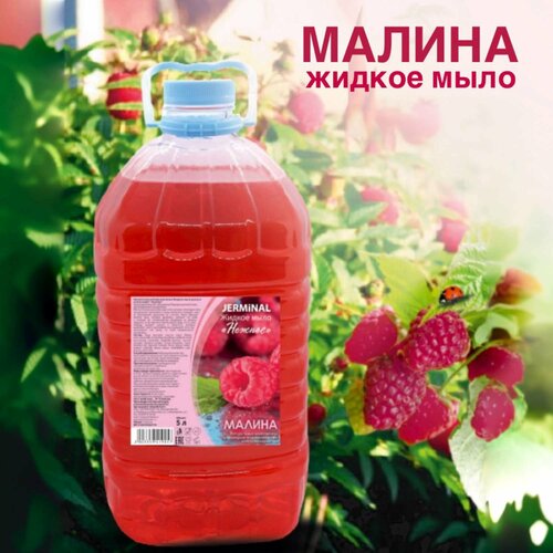 Мыло жидкое для рук и тела Малина, 5л