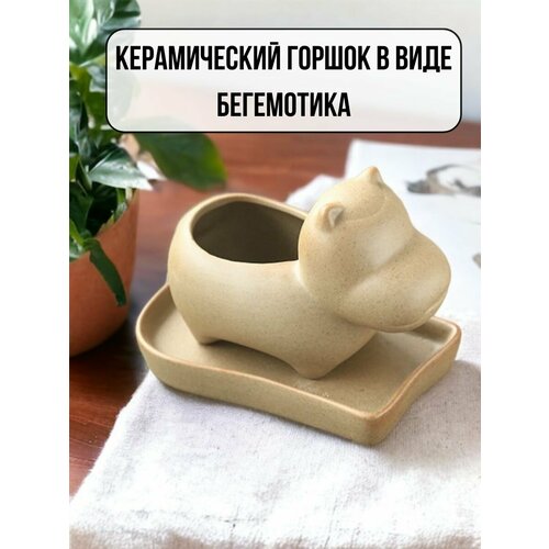 Горшок керамический бегемот 446₽