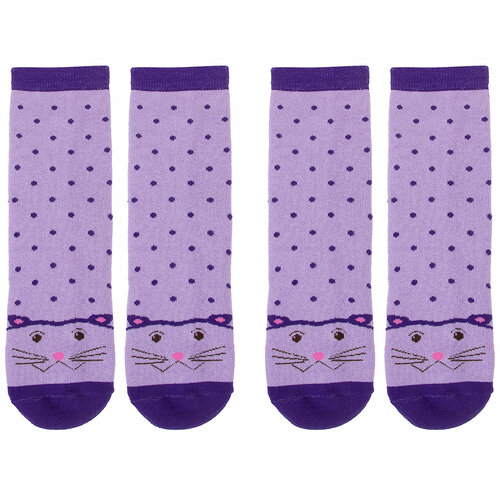 Носки Альтаир 2 пары, размер 22, фиолетовый носки альтаир 3 пары размер 22 фиолетовый