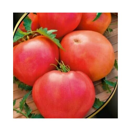 Коллекционные семена томата Вождь краснокожих семена томат вождь краснокожих 20 шт