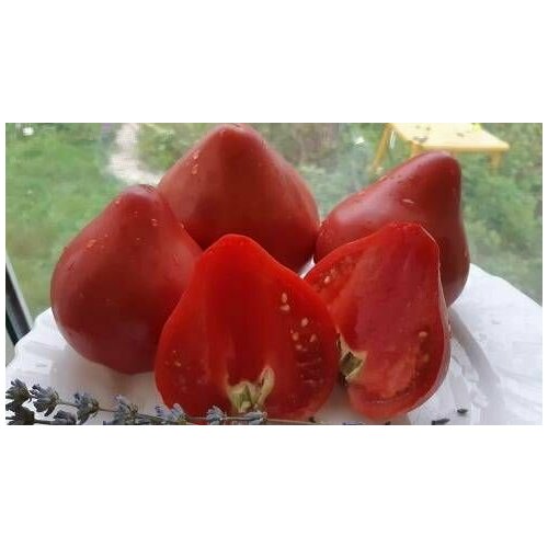 Коллекционные семена томата Помидор из Хейса