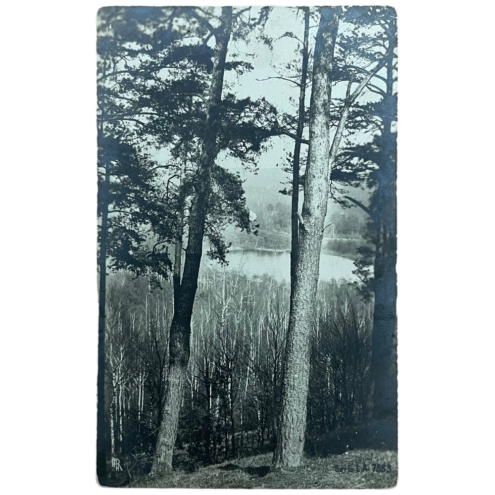 Почтовая открытка "Лес. Виды на пруд" XX век, Европа