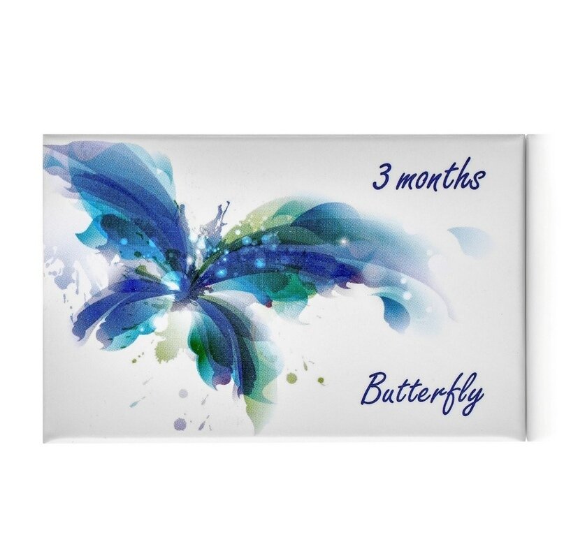 Офтальмикс Butterfly 3-тоновые (2 линзы) -3.00 R 8.6 Turquoise (Бирюзовый)