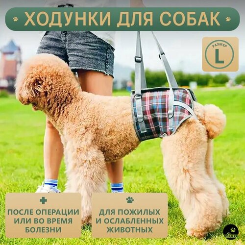 Ходунки для собак. Задняя часть, размер L.