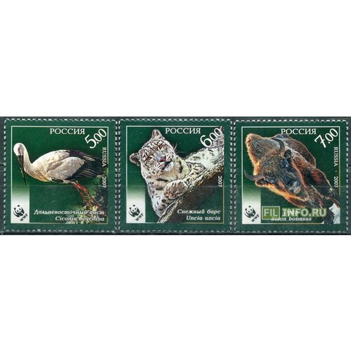 Почтовые марки Россия 2007г. Исчезающие виды животных Фауна, Цапли MNH