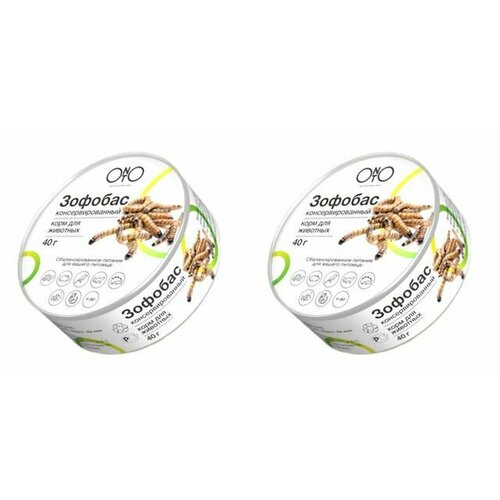 ONTO Лакомство Зофобас консервированный, 40 г, 2 уп