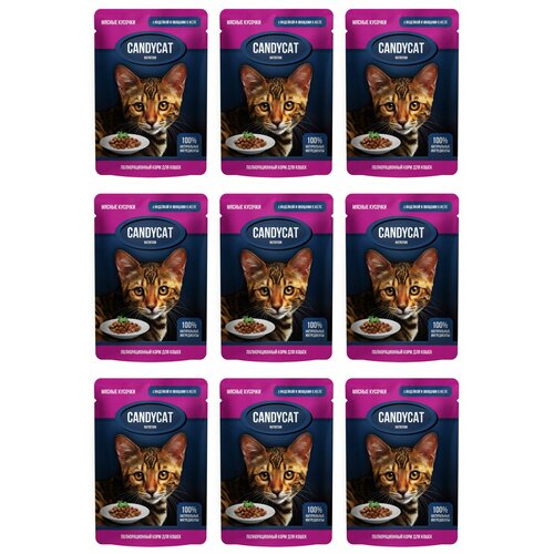 CandyCat Пауч для кошек, кусочки с Индейкой и овощами в желе, 85 г, 9 шт