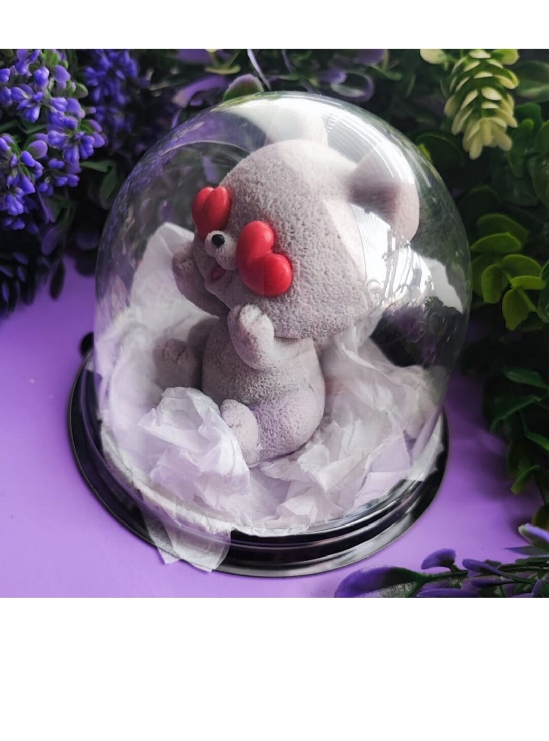 фото 14 февраля кот