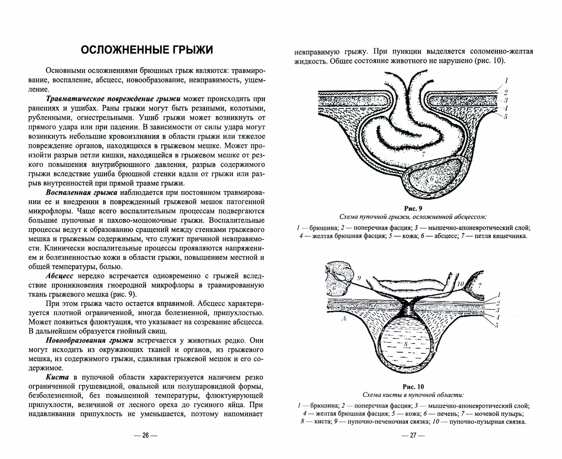 Абдоминальные грыжи у животных. Лечение и профилактика - фото №4