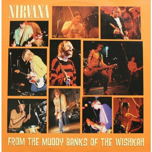 Nirvana Виниловая пластинка Nirvana From The Muddy Banks Of The Wishkah the sorcerer s apprentice quick starter a1