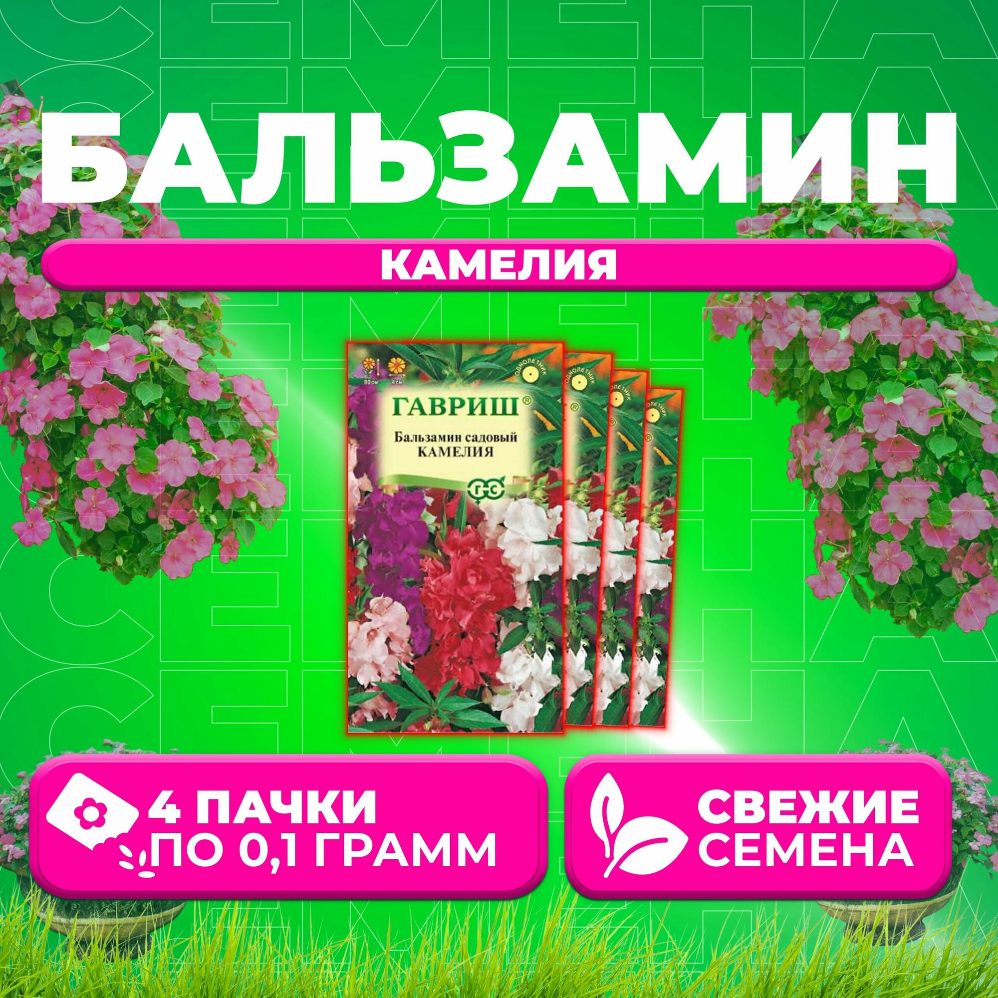 Бальзамин садовый Камелия, смесь, 0,1г, Гавриш, Цветочная коллекция (4 уп)
